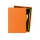 DS100 Matte - Amber