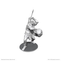 D&D Nolzurs Marvelous Miniatures: Brohg