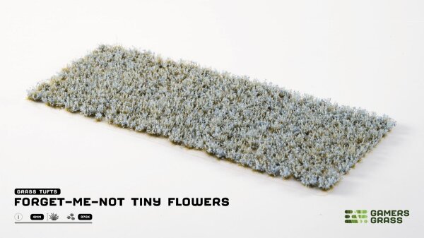Forget-Me-Not Tiny Flowers