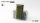 Strong Green Shrubs