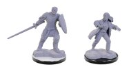D&D Nolzurs Marvelous Miniatures: Reborn Paladin...