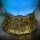 ENHANCE Tabletop - Potion Light Blue