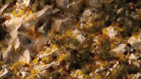 Boxed Sets - Golden Autumn Glade Basing Box