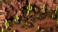 Basing Bits - Saguaro Cacti