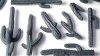 Basing Bits - Saguaro Cacti