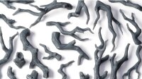 Basing Bits - Gnarled Branches