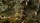 Basing Bits - Gnarled Branches
