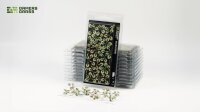 Laser Plants - Bugloss