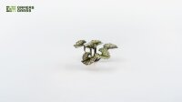 Laser Plants - Bugloss