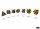 Würfelset: 7 Würfel mehrseitig Brush™ Polyhedral Deep Forest™/gold