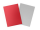 Dragon Shield Matte Dual - Crimson & Silver (100)