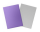 Dragon Shield Matte Dual - Nebula & Silver (100)