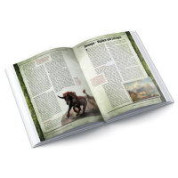 HeXXen 1733: Geheimnisse des Ewigen Eises