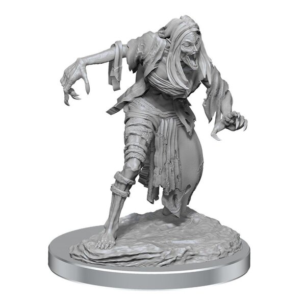 D&D Nolzur`s Marvelous Minis: W19 Nosferatu MOQ2