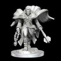 D&D Nolzur`s Marvelous Minis: W20 Aasimar Cleric Male