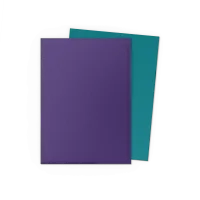 Dragon Shield Dual Matte: Soul & Petrol (100 Stück)