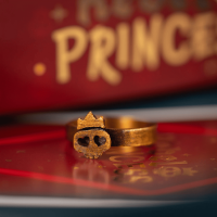 Rebel Princess - The Royal Collection