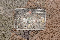 Everlasting Wet Palette Ork Workshop