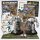 BattleTech Starter Box (EN) 2026